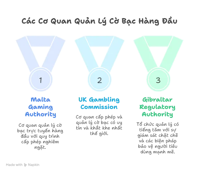 zomclub Giấy phép hoạt động của Zomclub