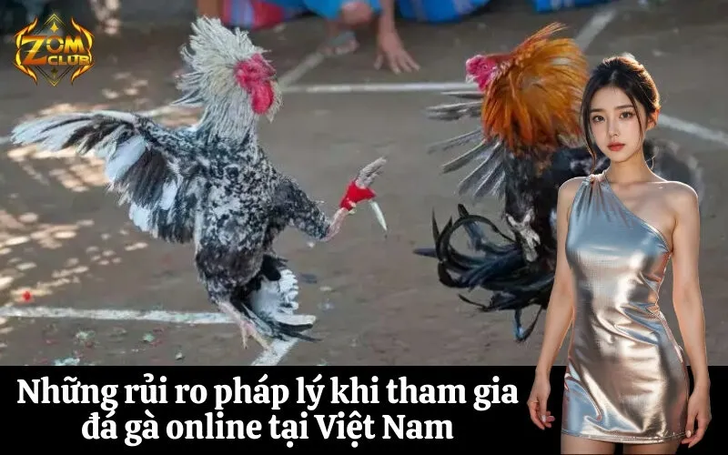 Những rủi ro pháp lý khi tham gia đá gà online tại Việt Nam